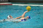 WWPolo vs CC  Wheaton College Women’s Water Polo compete in their sports inaugural match vs Connecticut College. - Photo By: KEITH NORDSTROM : Wheaton, water polo, inaugural